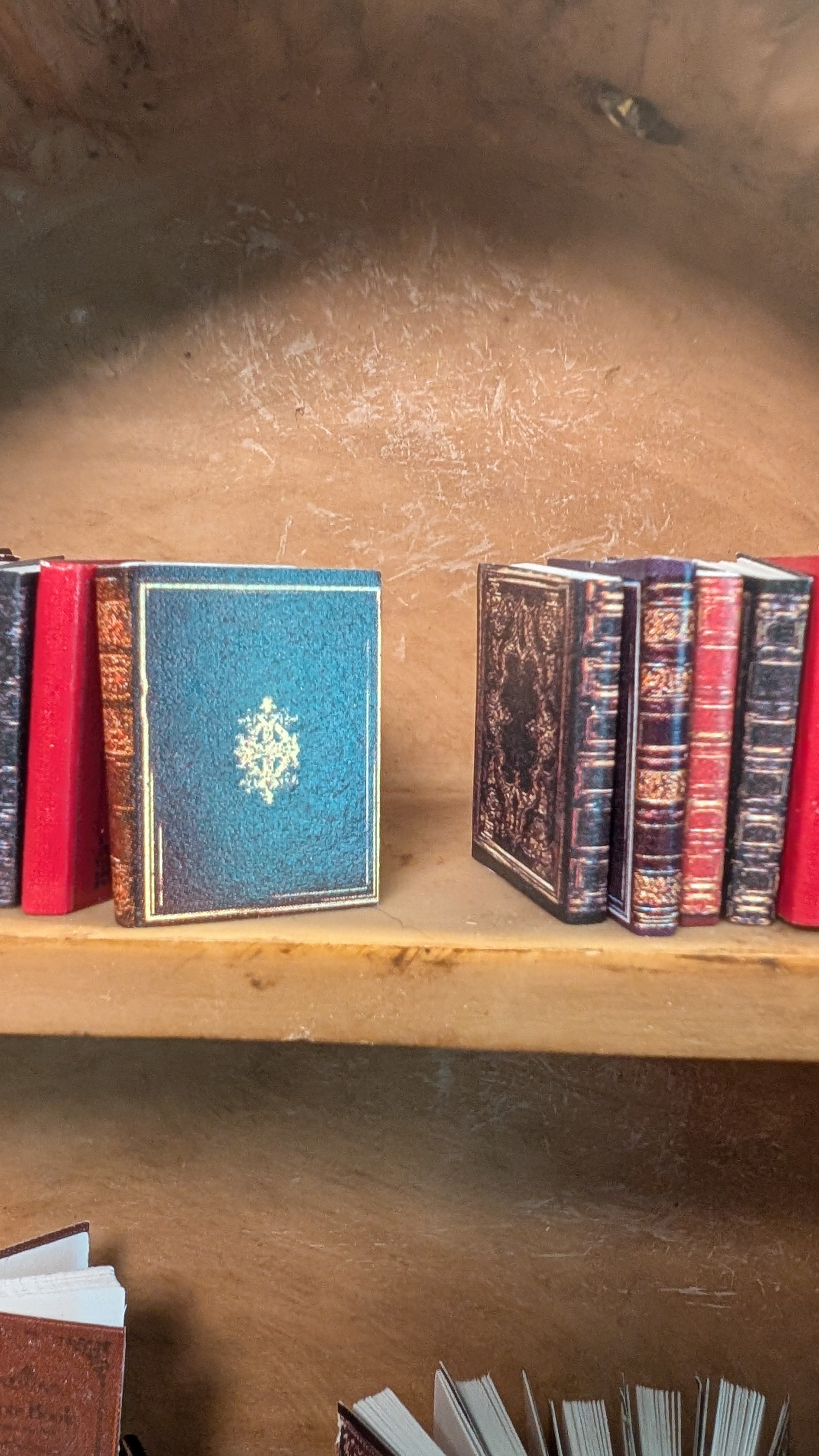 21-Piece Miniature Book Set
